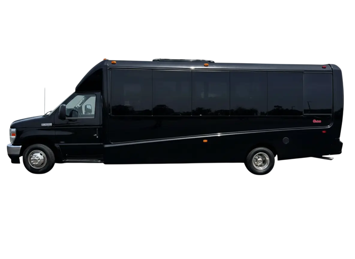 Mini Coach